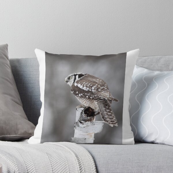 Item preview, Northern Hawk Owl designed and sold by James Cumming.
