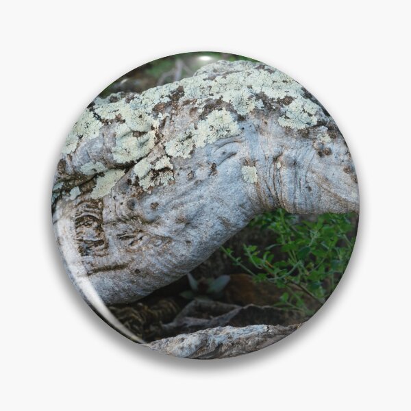 Item preview, Sheperd's tree trunk designed and sold by Rudi Venter.