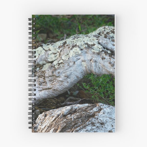 Item preview, Sheperd's tree trunk designed and sold by Rudi Venter.