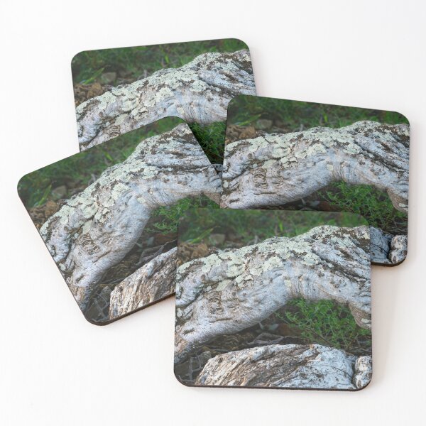 Item preview, Sheperd's tree trunk designed and sold by Rudi Venter.