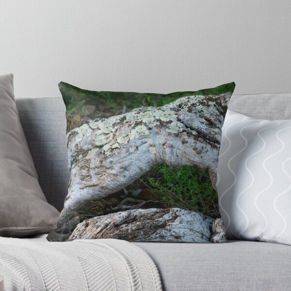 Item preview, Sheperd's tree trunk designed and sold by Rudi Venter.