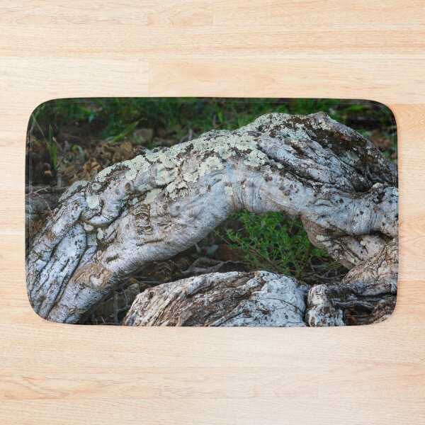 Item preview, Sheperd's tree trunk designed and sold by Rudi Venter.