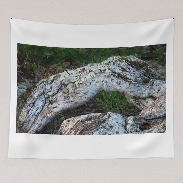 Item preview, Sheperd's tree trunk designed and sold by Rudi Venter.
