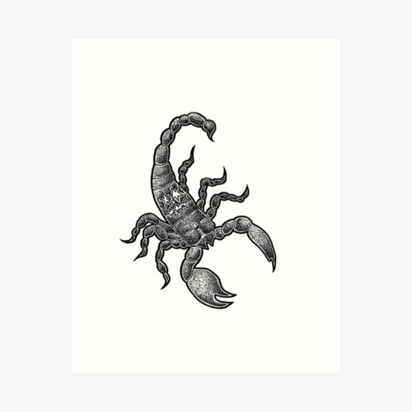 tattoo Bishwjitkumar tattoo designs scorpion tattoo how to make tattoo on  hand scorpion tattoo on hand  tattoo Bishwjitkumar tattoo designs  scorpion tattoo how to make tattoo on hand scorpion tattoo on