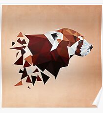 Red Panda II Poster