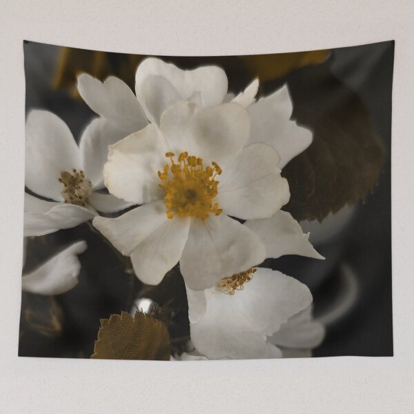 Item preview, sepia and white nature designed and sold by TessAndre.