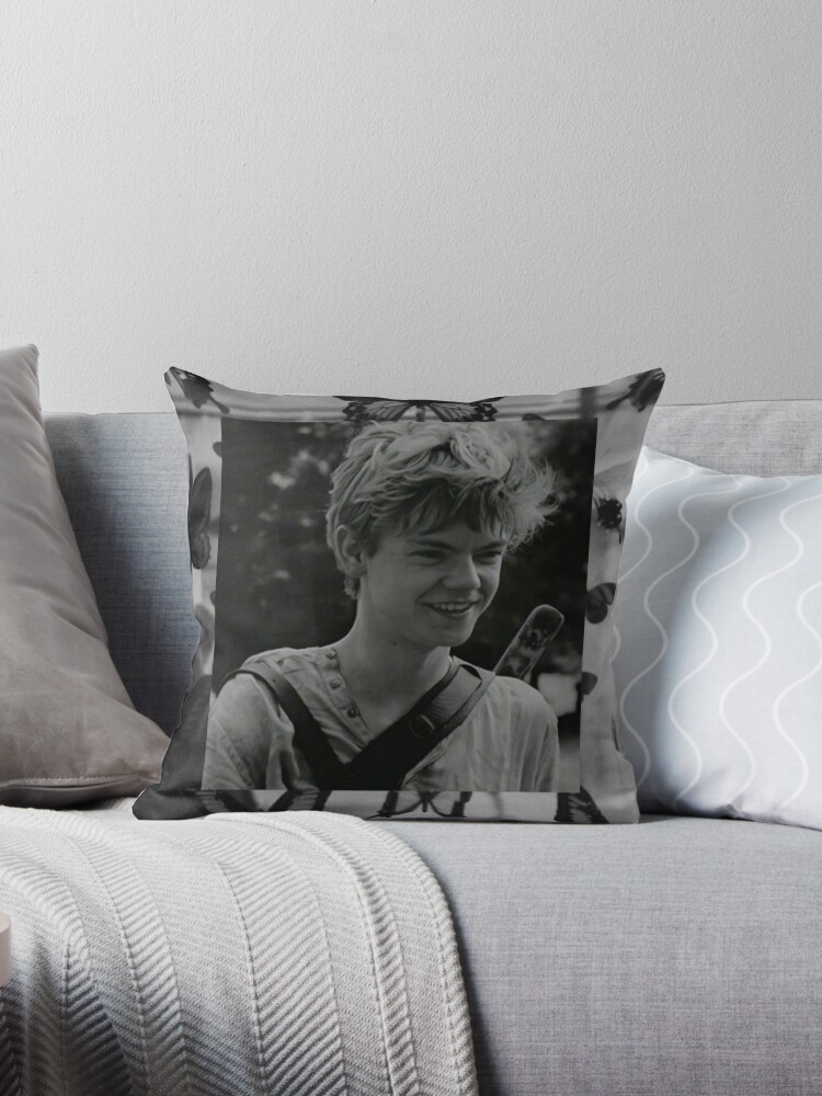 https://ih1.redbubble.net/image.2050308838.1427/throwpillow,small,750x1000-bg,f8f8f8.u2.jpg