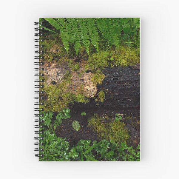 Item preview, Mossy Fallen Redwood Tree designed and sold by TinyGinkgo.