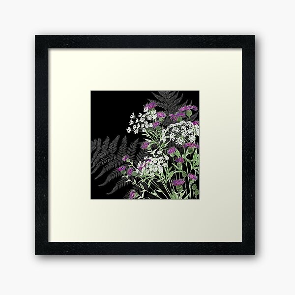 Wild Flowers - Knapweed, Ammi & Bracken Ferns Framed Art Print