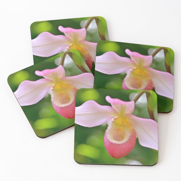 Item preview, Lady Slipper in Pink Art Print designed and sold by Teresa Tilley.