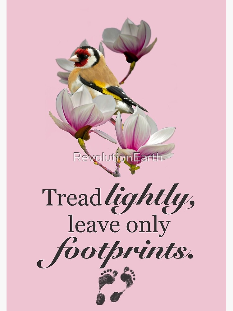 "Tread Lightly Goldfinch" Poster by RevolutionEarth Redbubble