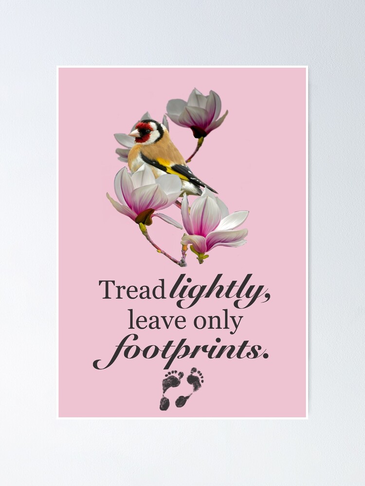 "Tread Lightly Goldfinch" Poster by RevolutionEarth Redbubble
