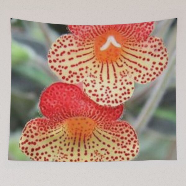 Item preview, Nice pansy. designed and sold by Lan thi Nguyen.