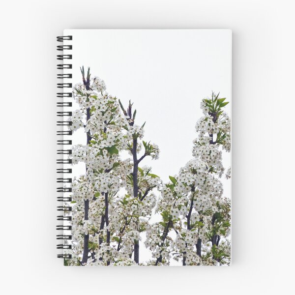 Item preview, Bradford Pear Blossoms designed and sold by Frankie Cat Photography.