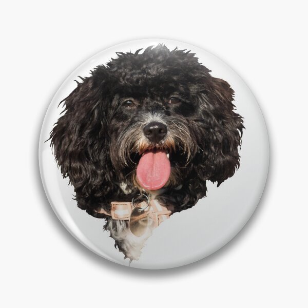 Item preview, Happy Cavapoo Puppy designed and sold by Jane Stanley Photography.