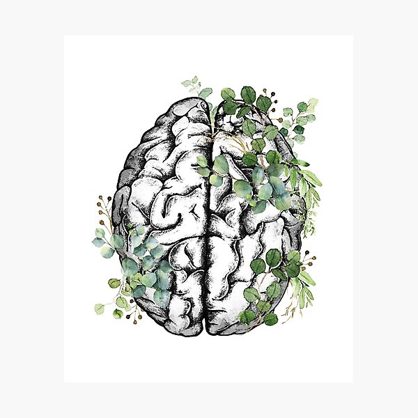 Item preview, Human brain with green leaver eucaliptus, watercolor style designed and sold by Collagedream.