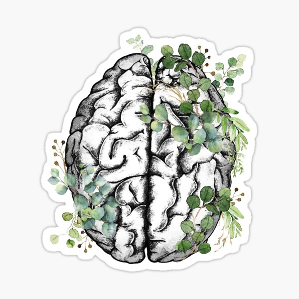 Cerveau humain avec eucaliptus sortant vert, style aquarelle Sticker