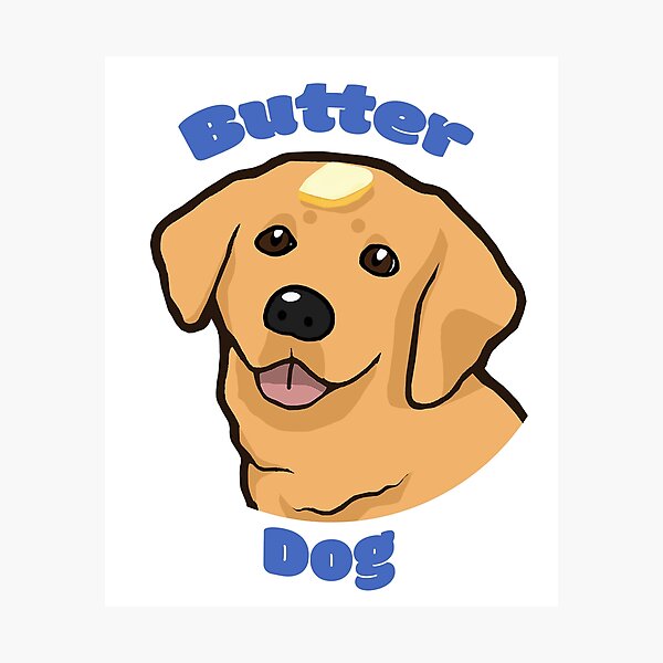 "Butter Dog Meme" Photographic Print by ThneedToKnow Redbubble
