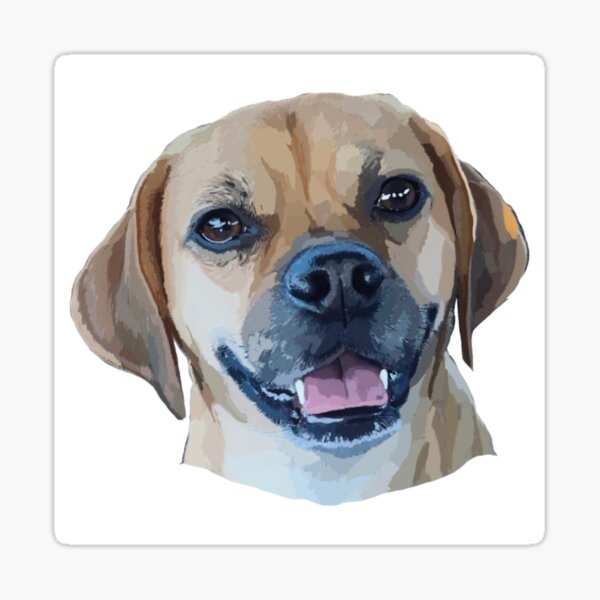 Puggle stuff clearance