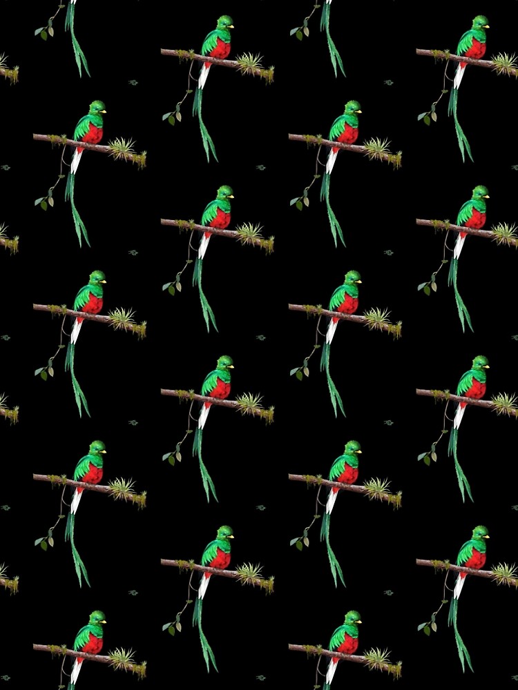 quetzal green dress Quetzal Dress main image 0