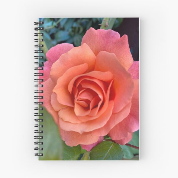 Item preview, Peach Rose designed and sold by Alizaolson.