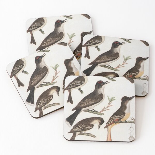 Item preview, American Birds designed and sold by InnerCitadel.