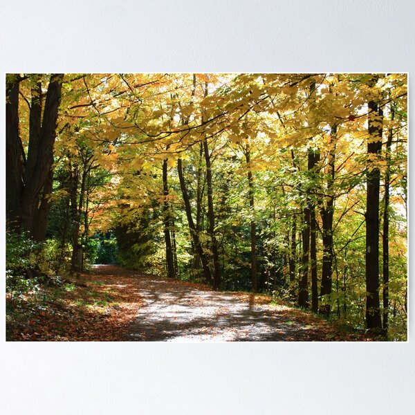Item preview, Fall country road. designed and sold by AlexIPhotograph.