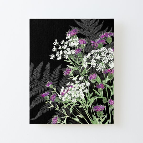 Wild Flowers - Knapweed, Ammi & Bracken Ferns Canvas Mounted Print