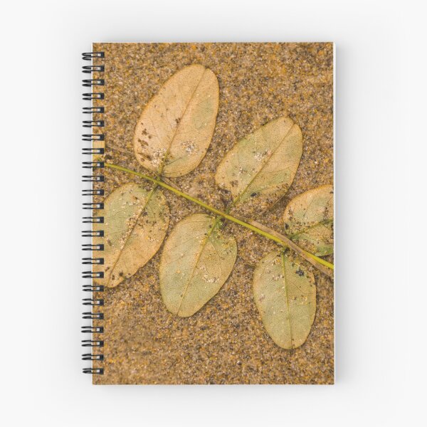 Item preview, Leaves washed up on a Camargue beach designed and sold by Michael Brewer.