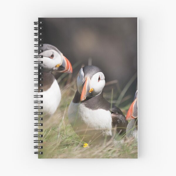 Item preview, Puffin Parley designed and sold by RedGrouse.