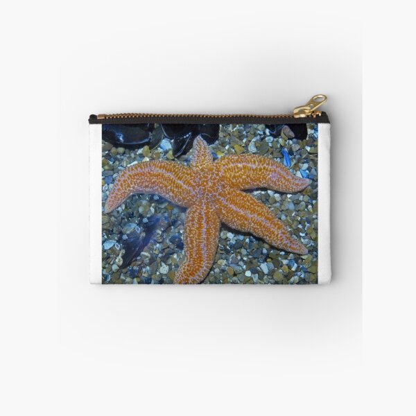 Item preview, Twinkle Twinkle Little Star Not designed and sold by Sandra Willis.