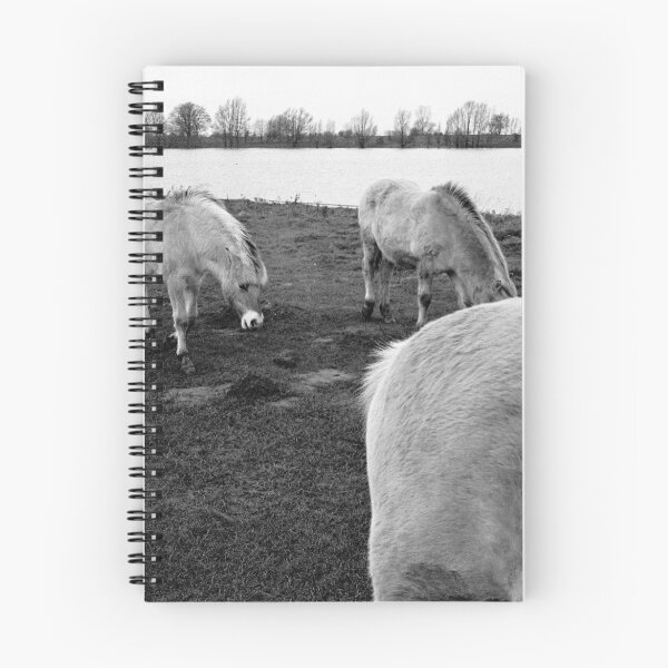 Item preview, Middelwaard, The Netherlands. designed and sold by VanOostrum.