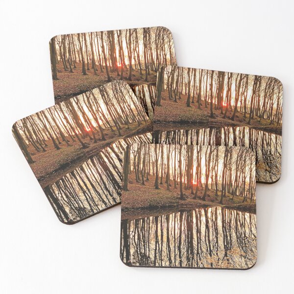 Item preview, Trees reflected in a pond at sunset designed and sold by Michael Brewer.
