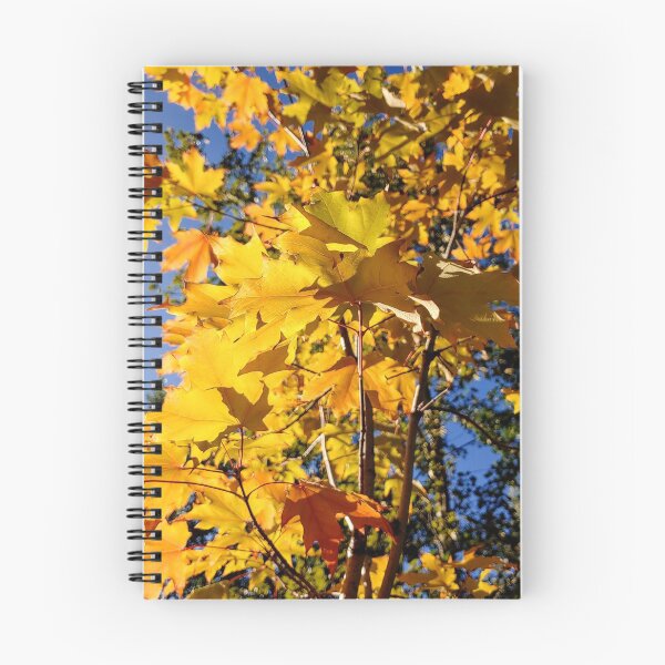 Item preview, Autumn Coloured Leaves designed and sold by Ephema.