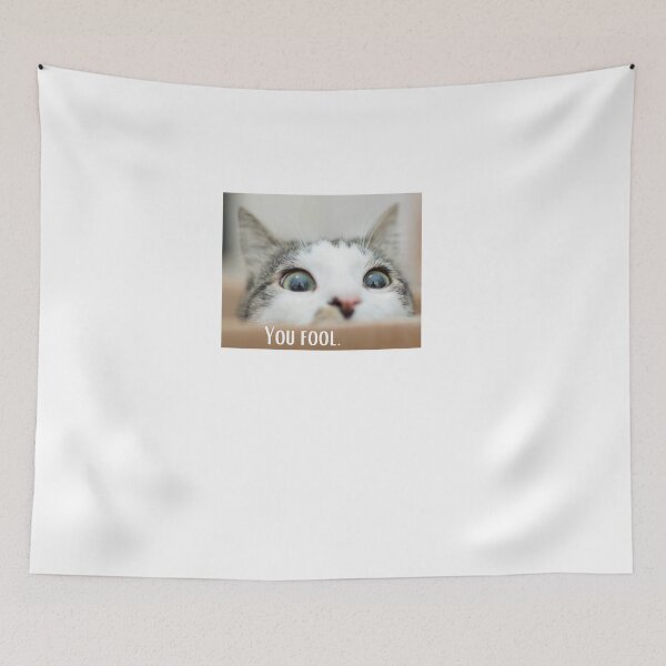 Item preview, You fool cat quote and picture designed and sold by emmathomas1215.
