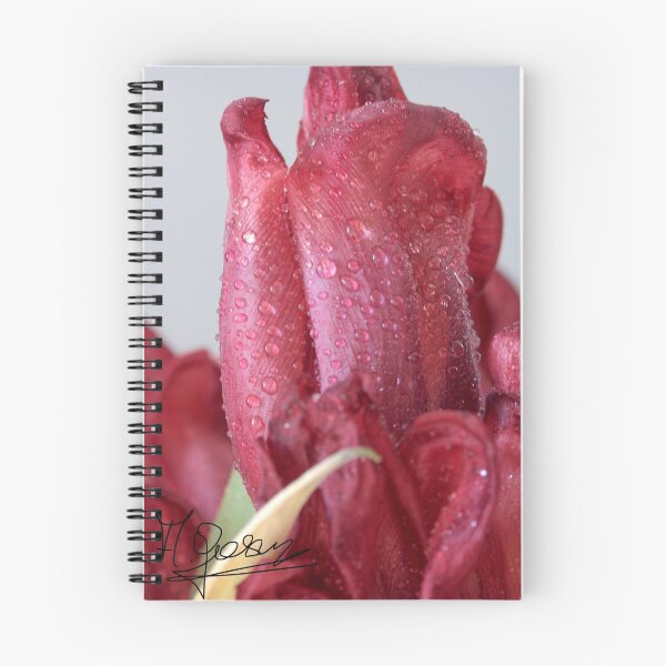 Item preview, Welcome Primavera. designed and sold by © Andrzej Goszcz,M.D. Ph.D.