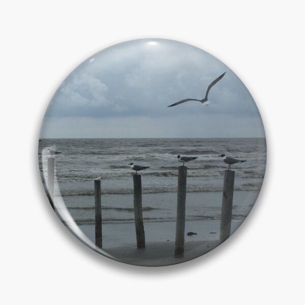 Item preview, Seagulls in Galveston designed and sold by BYHS.