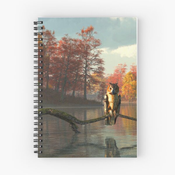 Item preview, Owl on a Lake designed and sold by Daniel Eskridge.