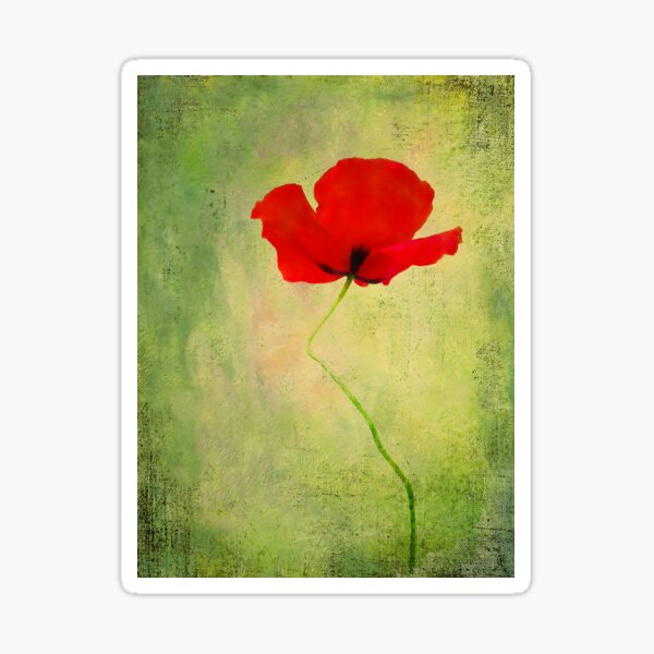Poppy (from "Painted flowers" collection) Sticker