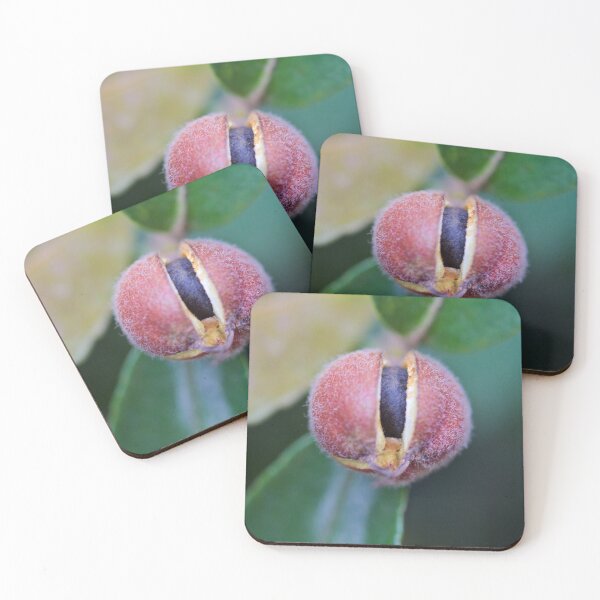Item preview, The Seed designed and sold by D-GaP.