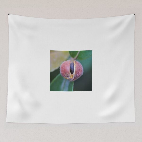 Item preview, The Seed designed and sold by D-GaP.