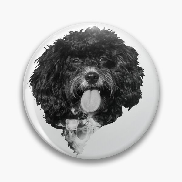 Item preview, Happy Cavapoo Puppy in Black and White designed and sold by Jane Stanley Photography.