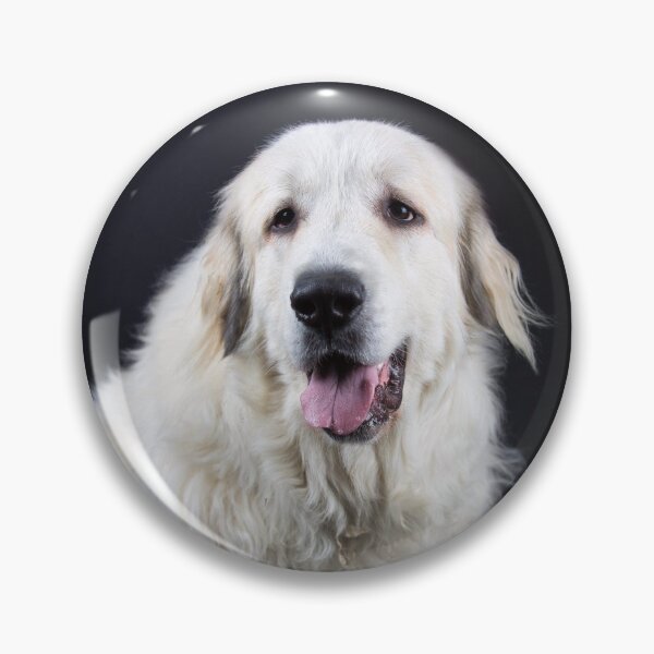 Item preview, Blissie beautiful Pyrenean ! designed and sold by bizzielizzieart.