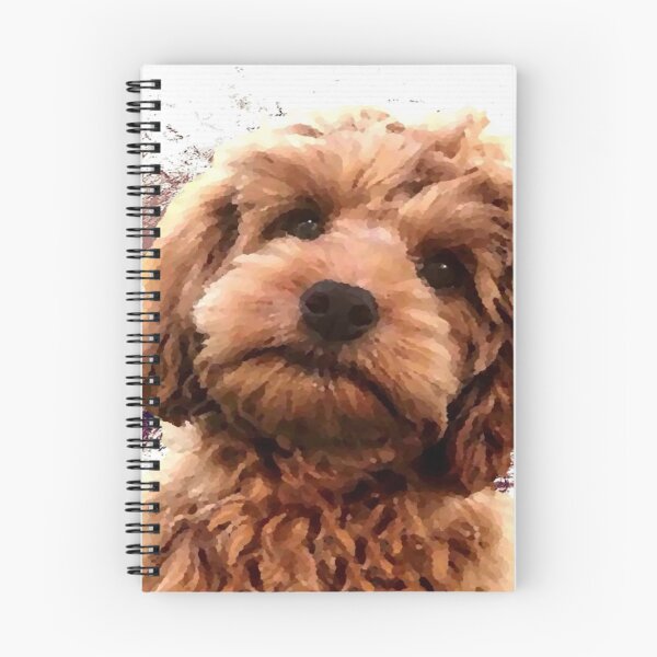 Item preview, Charlie the Cockerpoo Print designed and sold by OByD.