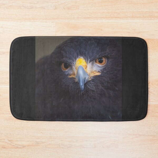 Item preview, Harris Hawk Bird of Prey Portrait. Great present for bird lover. designed and sold by Kipcio.