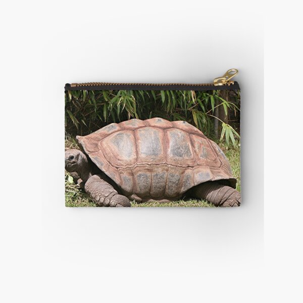 Item preview, Tortoise 1 designed and sold by FranWest.