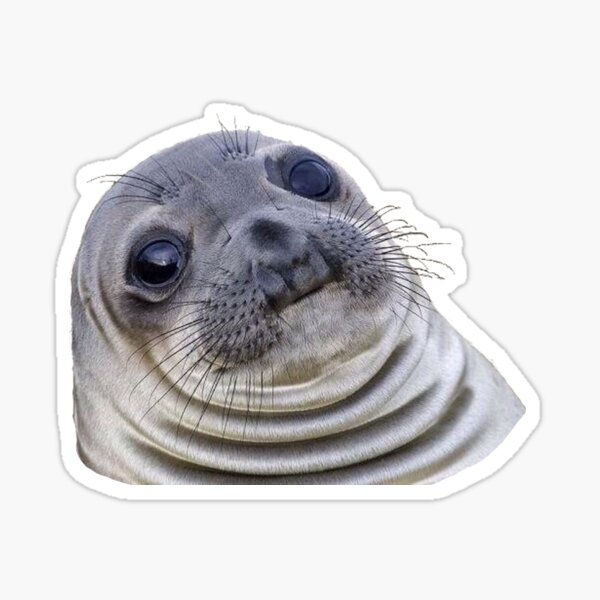 Seal Stickers Redbubble