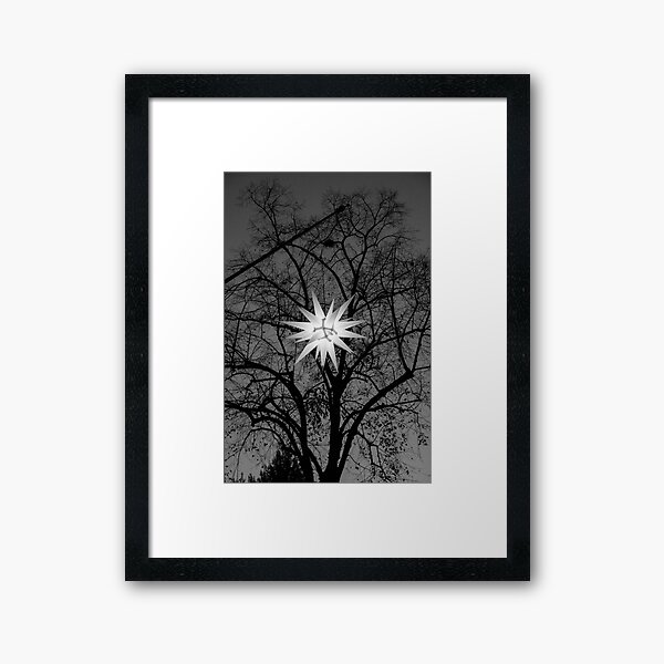 SP 007 Framed Art Print