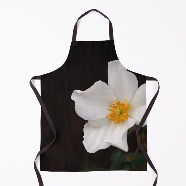 Item preview, California Winter Rose designed and sold by Douglas E. Welch Design and Photography.