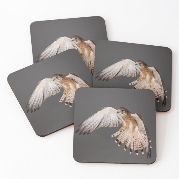 Item preview, Nankeen Kestrel Landing designed and sold by WadeBuchan.